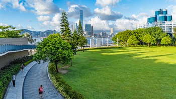 Views of the harbour from the lawn are framed by the mature trees.